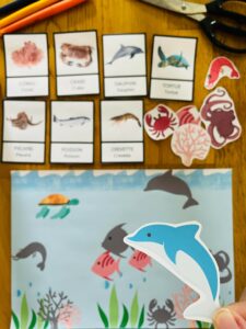 Carte de nomenclature animaux de la mer