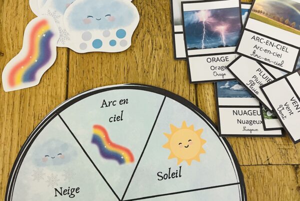 Atelier sur la météo avec cartes de nomenclature