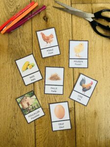 Cycle de la poule pour enfant
