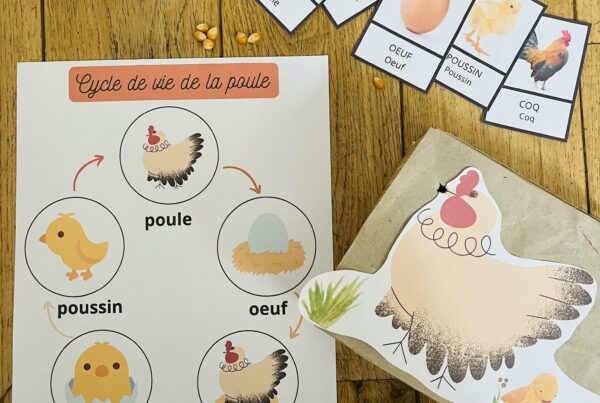 Cycle de la poule pour enfant