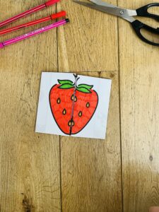 Cycle de vie de la fraise montessori