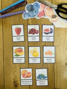 Activité sur les fruits montessori