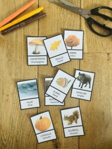 Carte nomenclature automne
