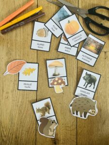 Carte nomenclature automne