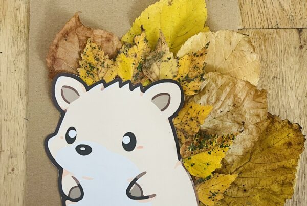 Activité automne enfant