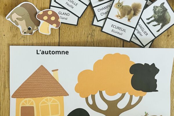 Carte nomenclature automne