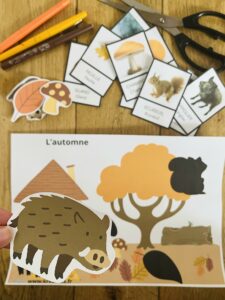 Carte nomenclature automne