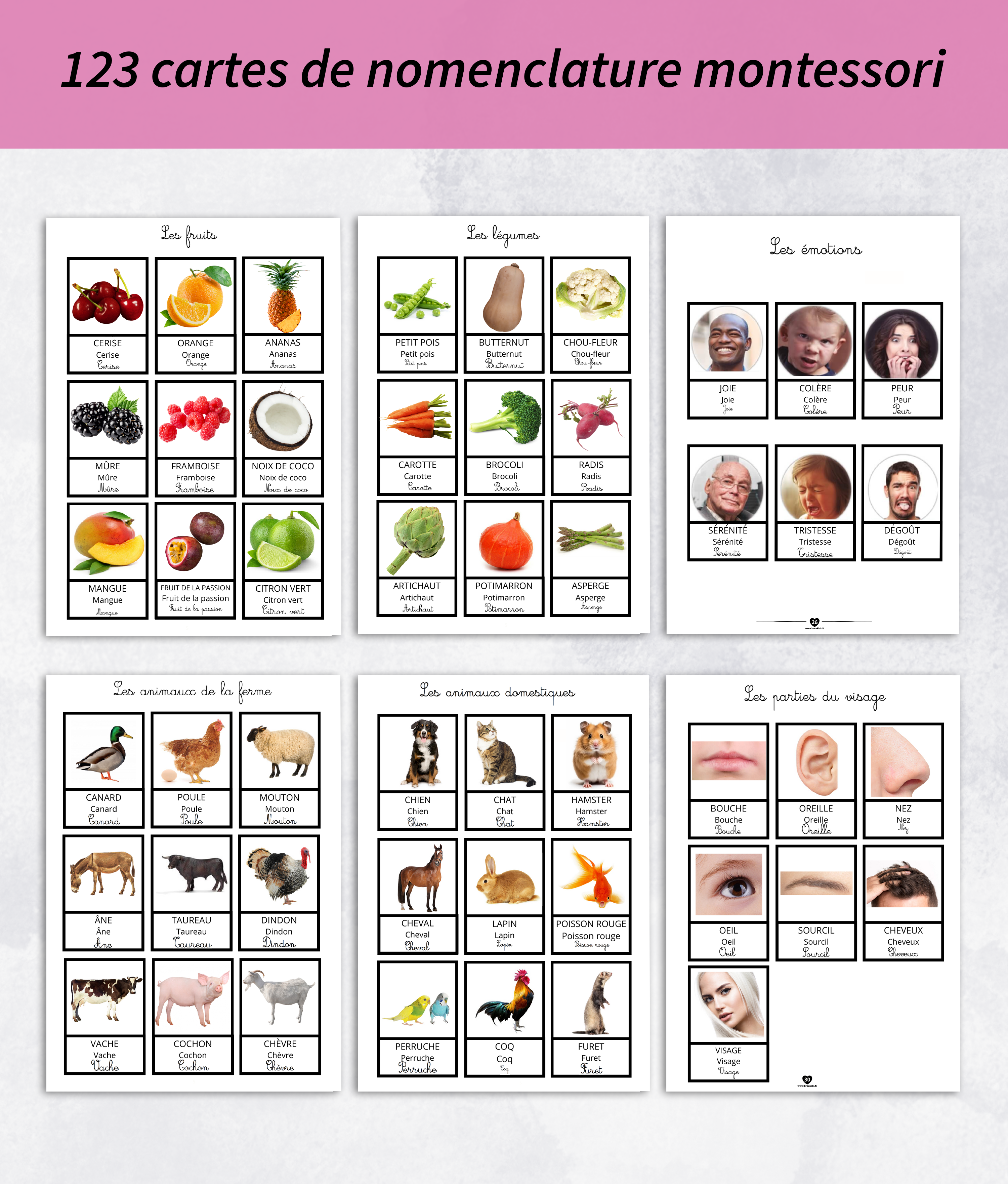 PDF Cahier d'activités pour les 18 mois et plus à imprimer – Image 5