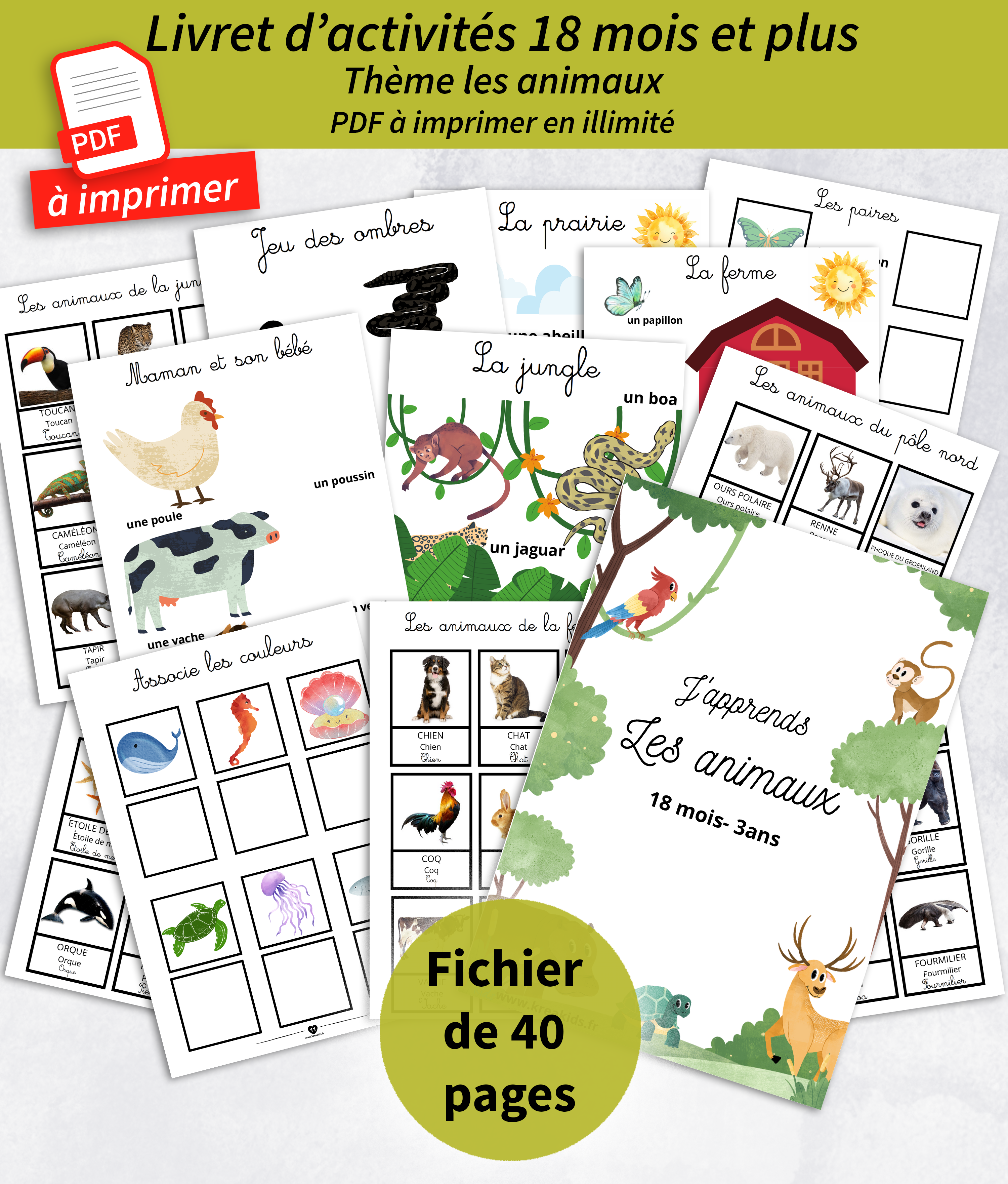 PDF cahier d'activités 18 mois et plus sur les animaux