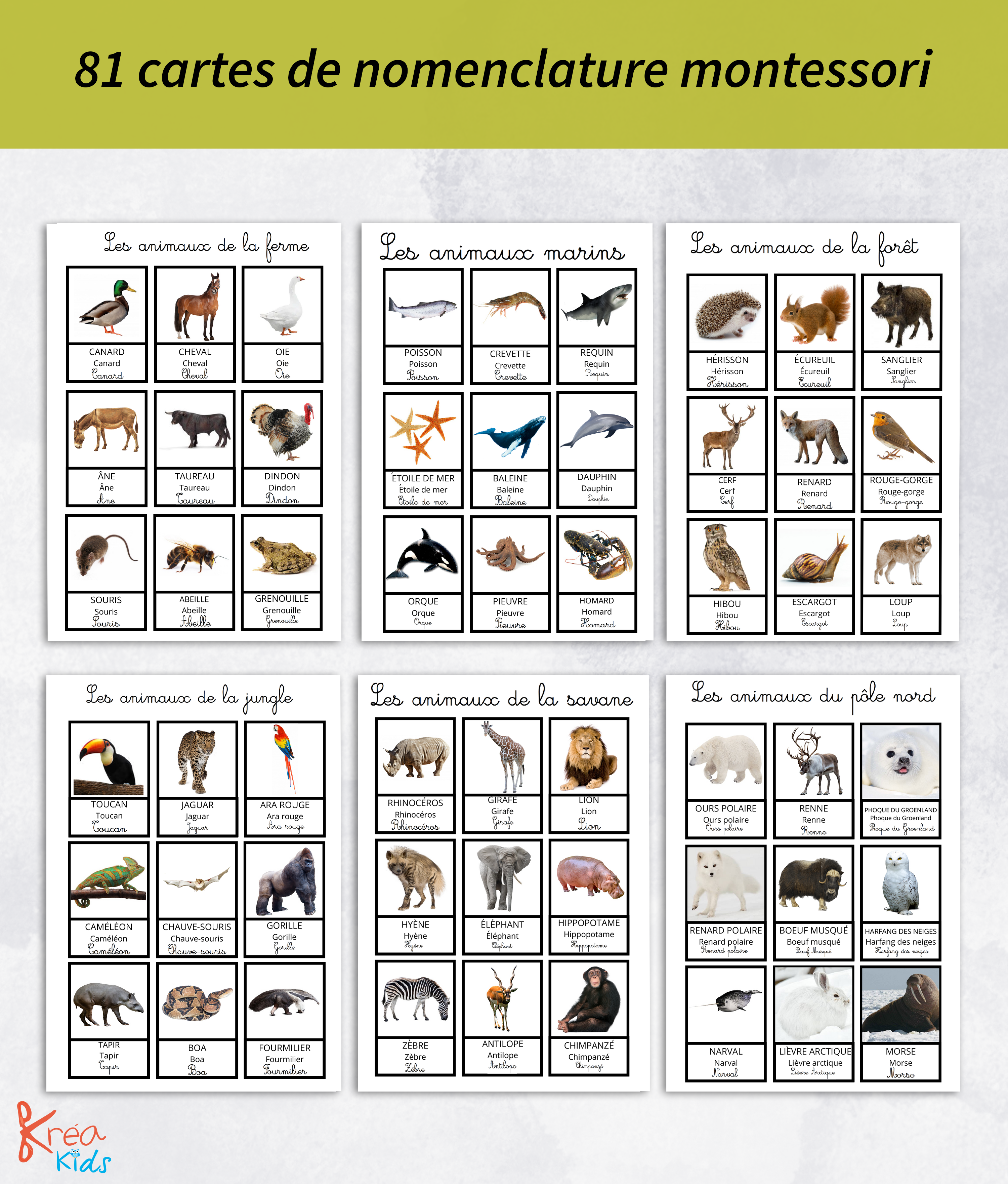 PDF cahier d'activités 18 mois et plus sur les animaux – Image 5