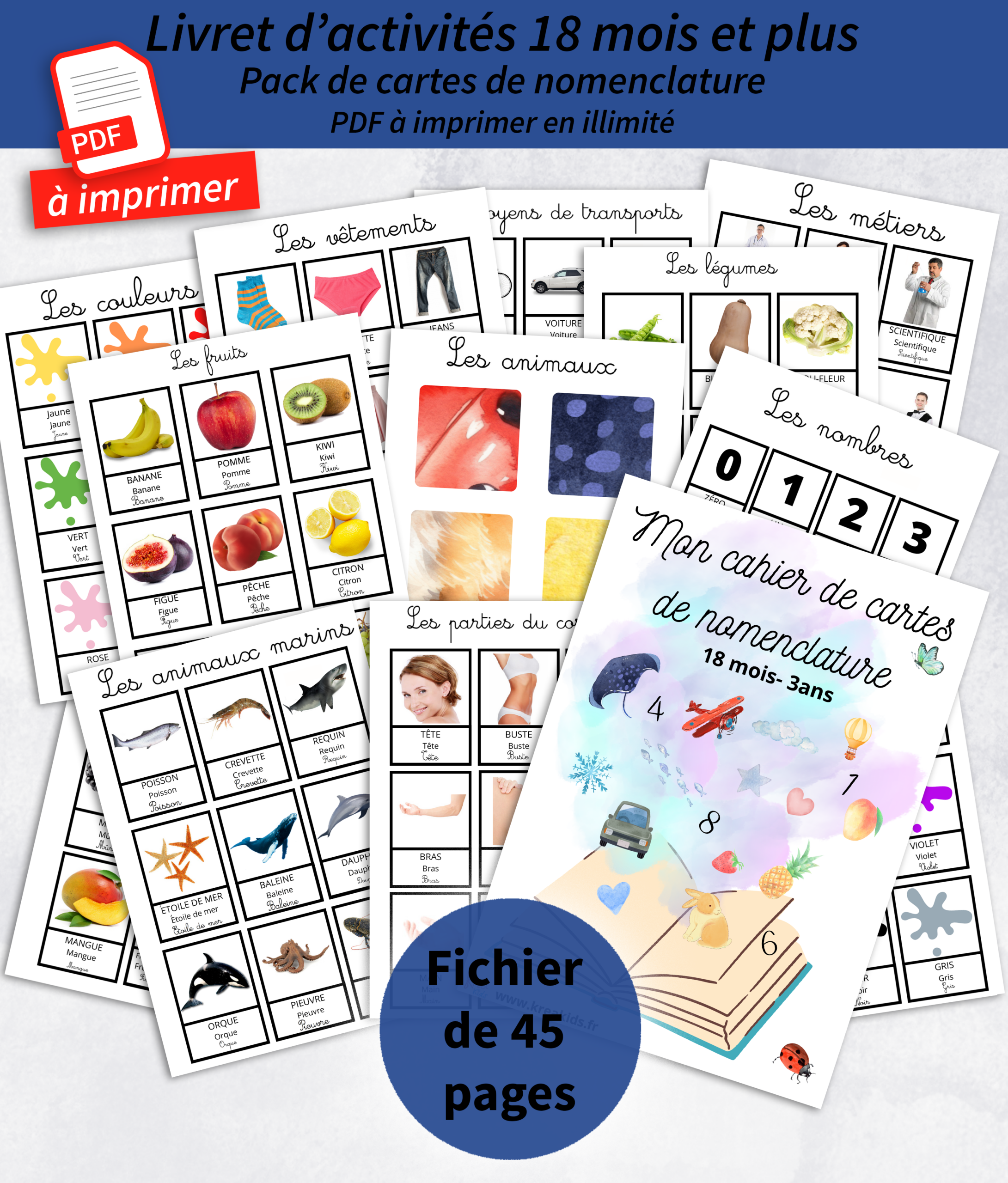 Pack de carte de nomenclature montessori