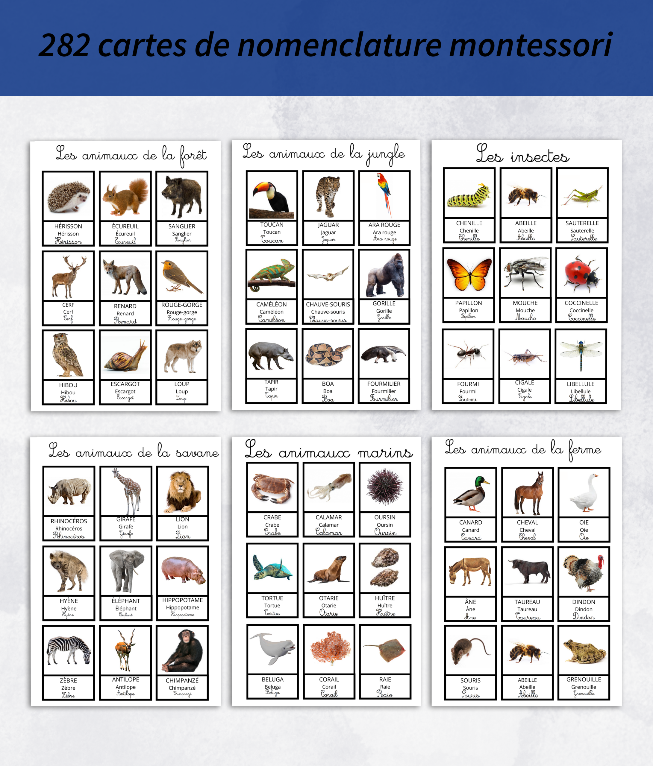 Pack de carte de nomenclature montessori à imprimer – Image 6