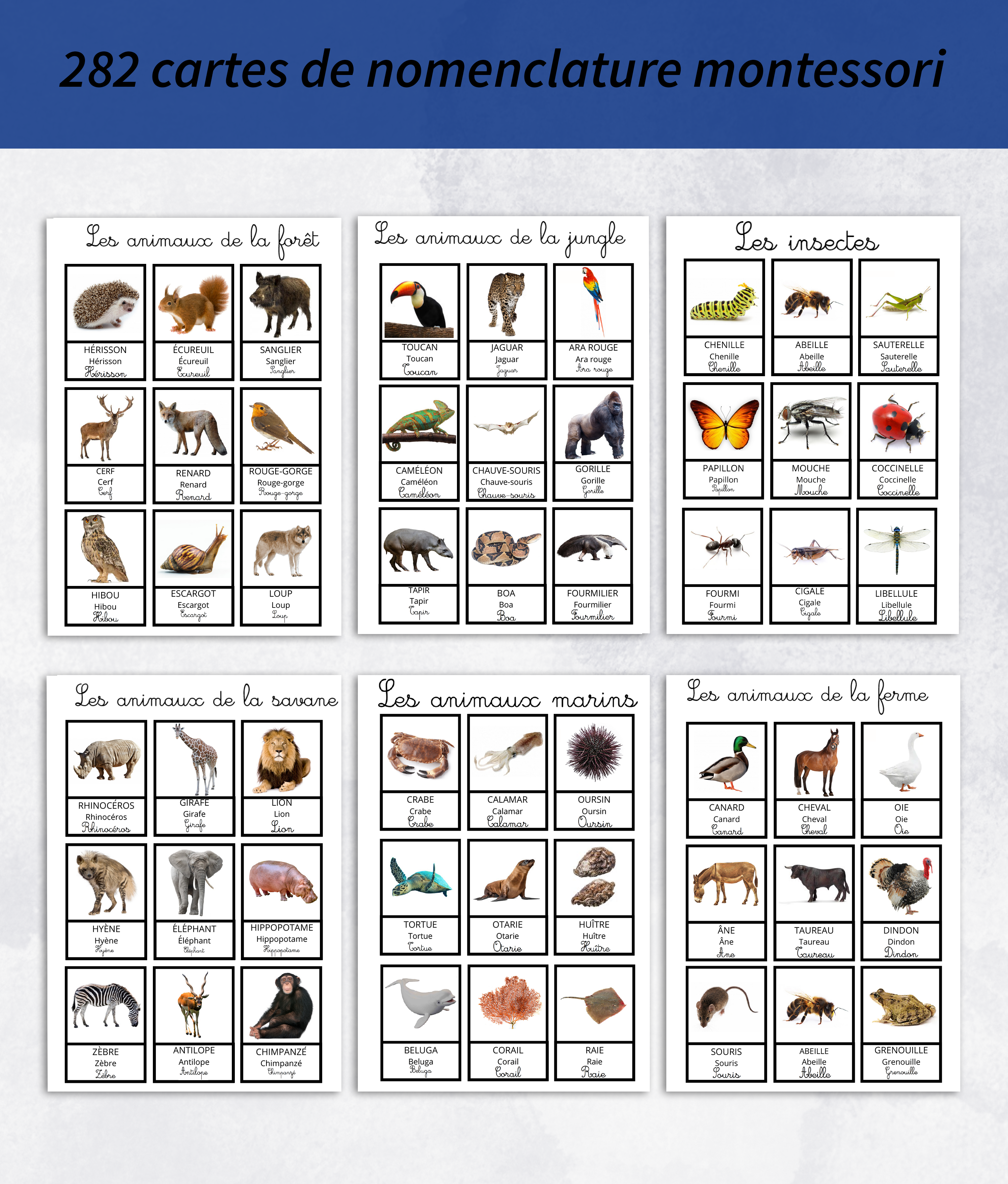 Cahier de cartes de nomenclature montessori en kit – Image 6