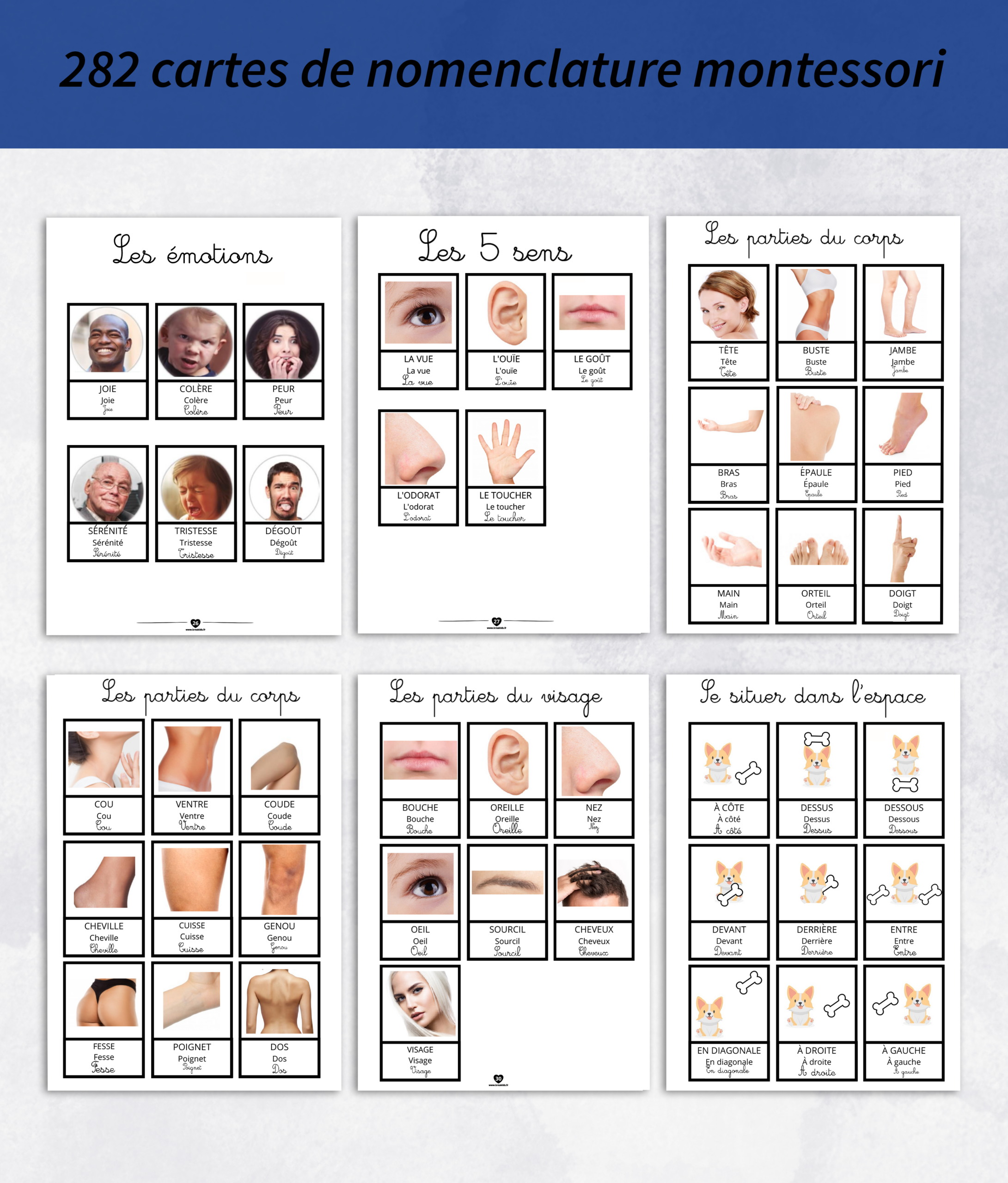 Pack de carte de nomenclature montessori à imprimer – Image 5