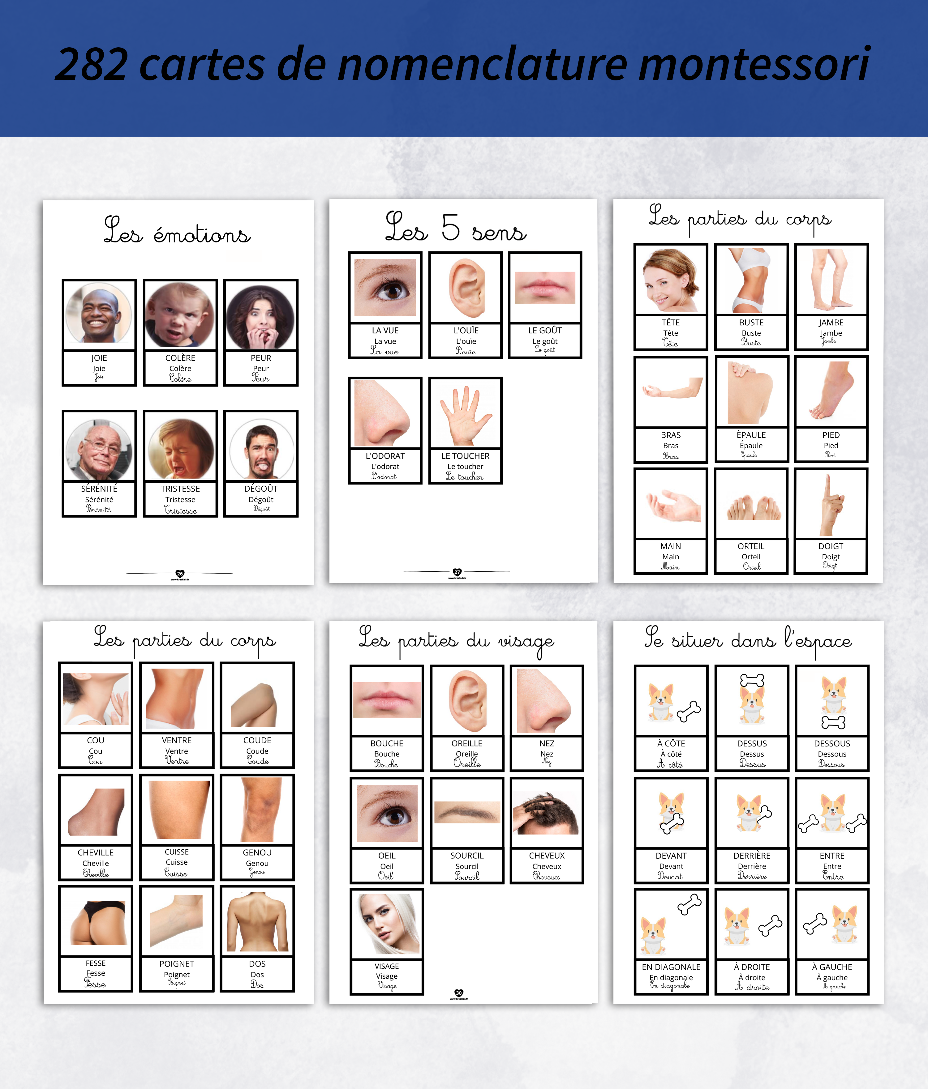 Cahier de cartes de nomenclature montessori en kit – Image 5