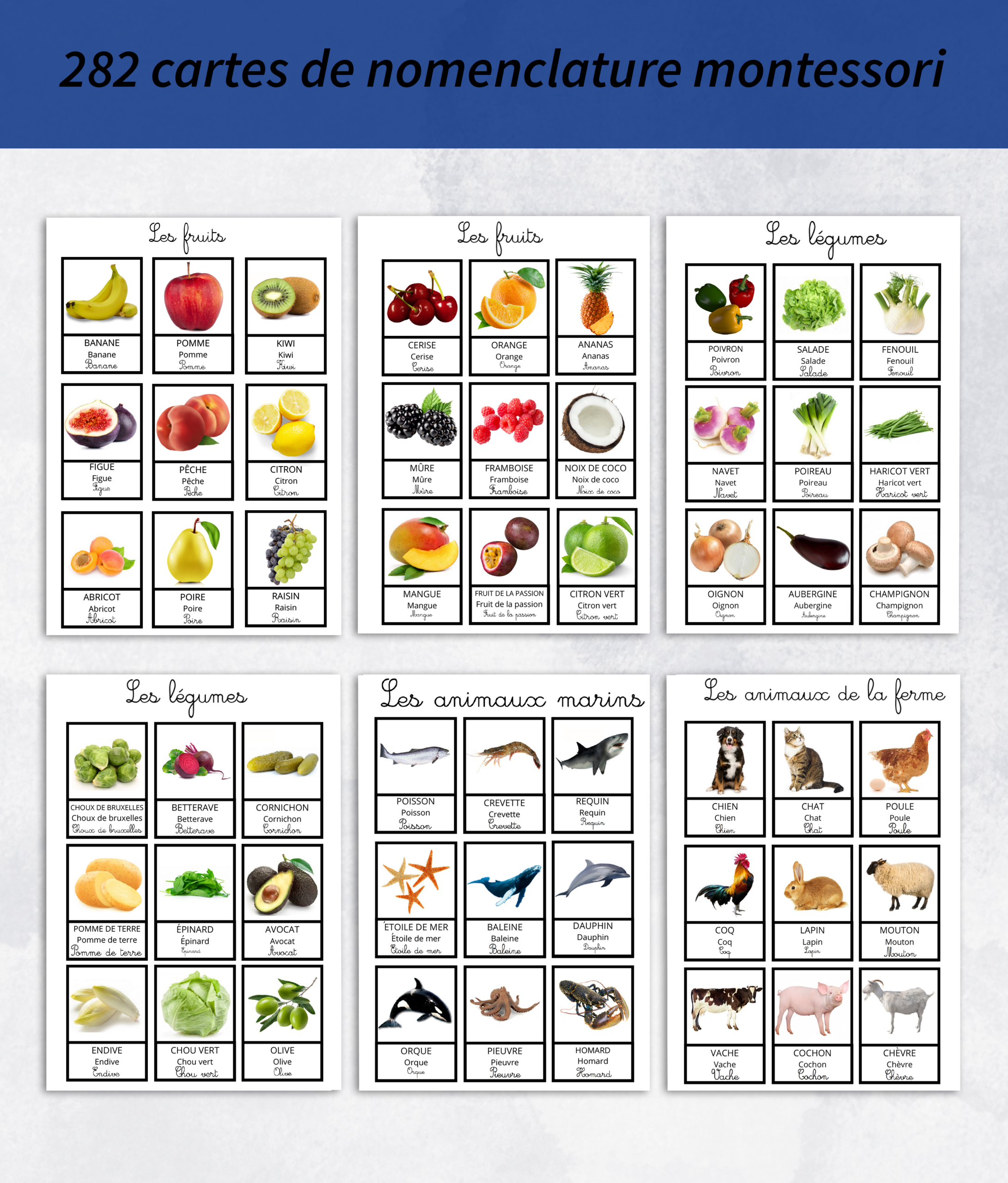 Pack de carte de nomenclature montessori à imprimer – Image 4