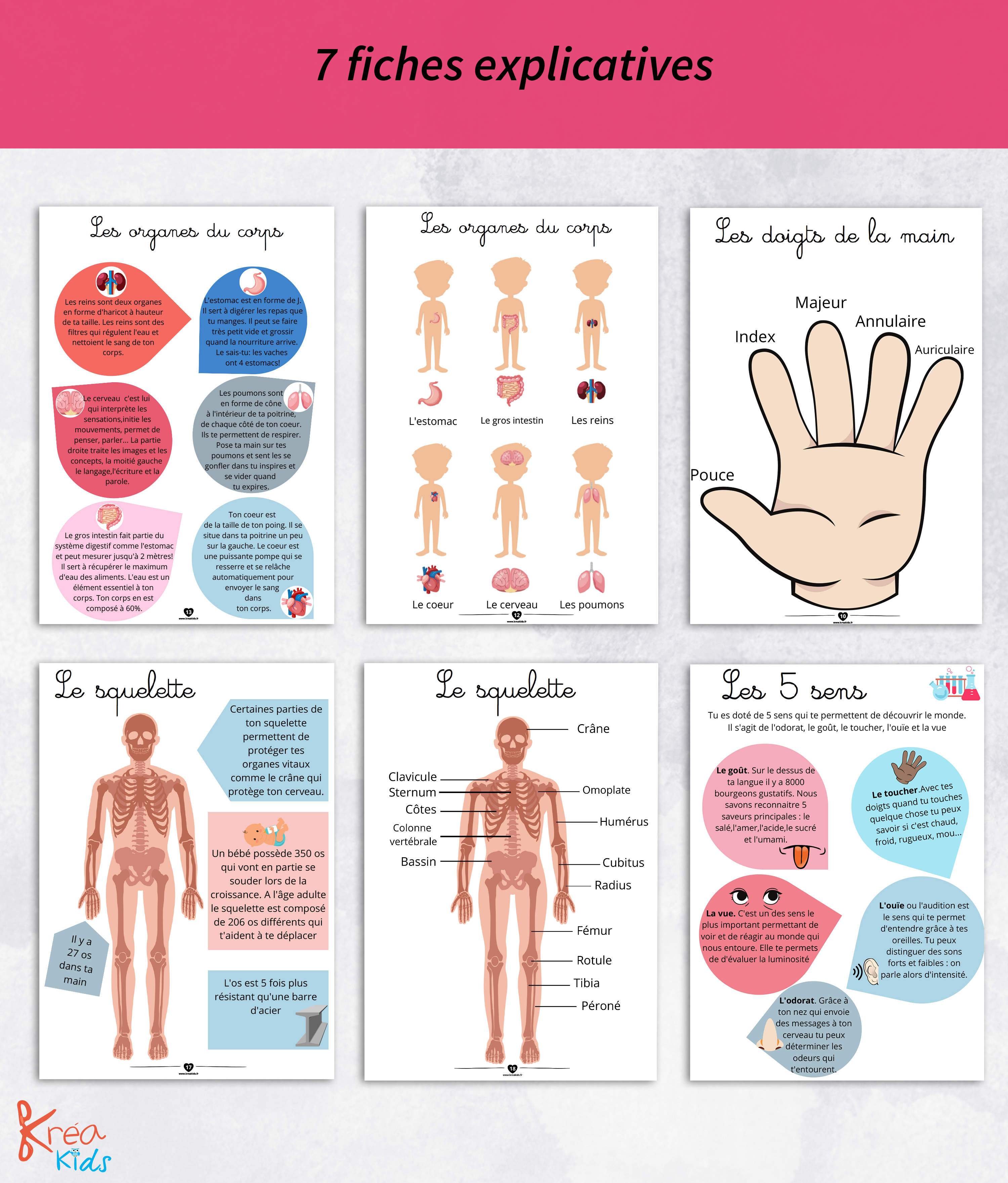 PDF quiet book du corps humain à imprimer – Image 4