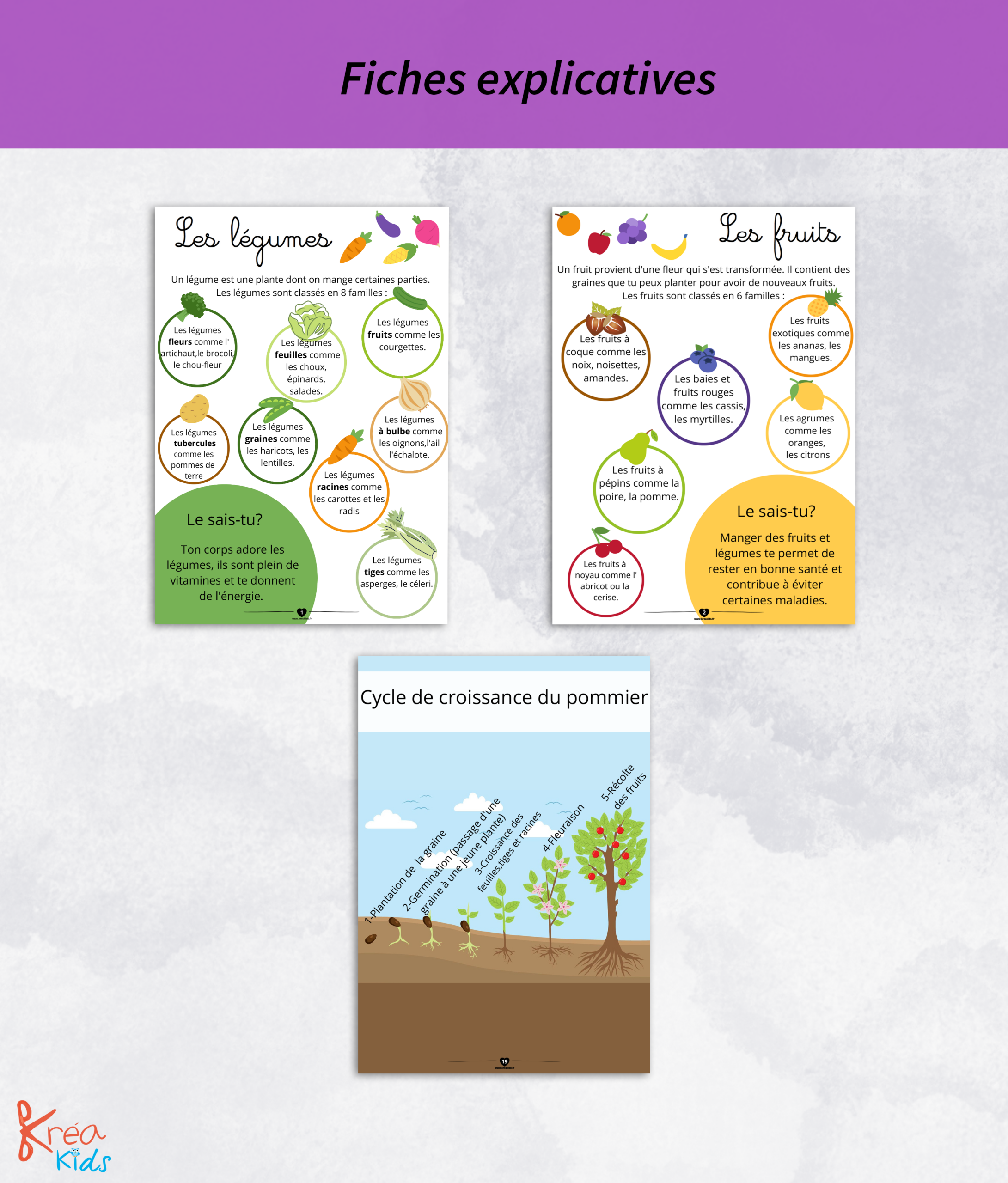 Livret d'activité fruits et légumes en kit – Image 3