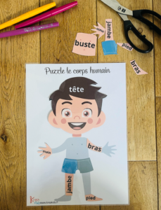 Puzzle corps humain gratuit
