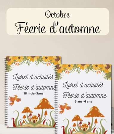 Abonnement double PDF 12 mois
