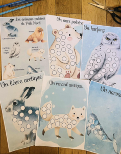 Activité enfant animaux polaires