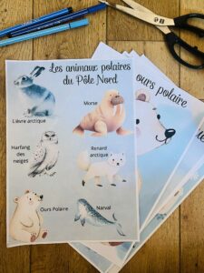 Activité enfant animaux polaires