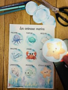 Jeu d'observation gratuit pour enfant