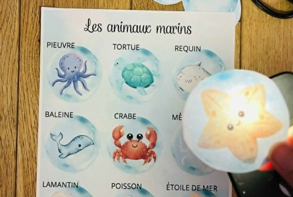 Jeu d'observation gratuit pour enfant