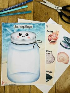 Activité coquillage enfant