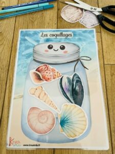 Activité coquillage enfant