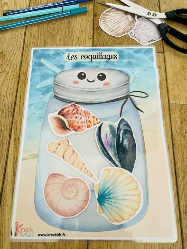 Activité coquillage enfant