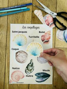 Activité coquillage enfant