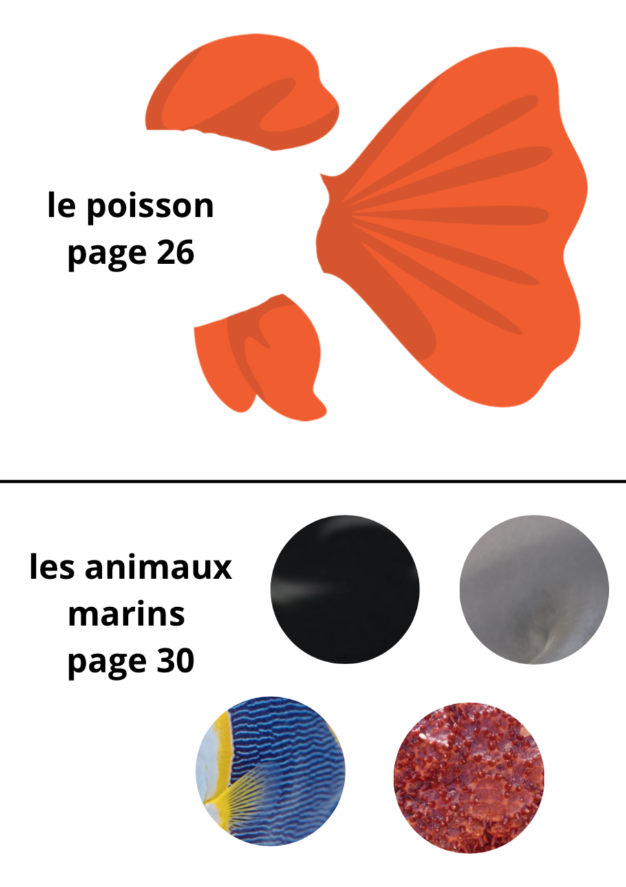 Abonnement PDF 12 mois – Image 14