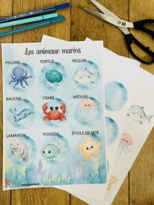 Jeu d'observation gratuit pour enfant