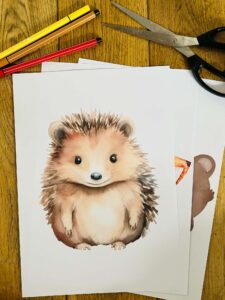 Activités avec des feuilles mortes