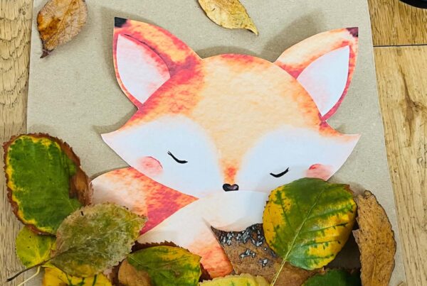 Activités avec des feuilles mortes