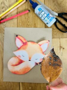 Activités avec des feuilles mortes